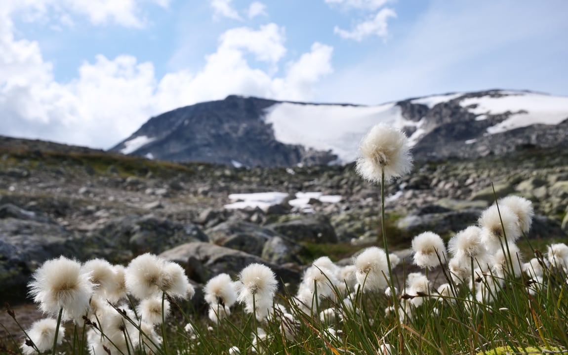 Landskap Jotunheimen nasjonalpark.