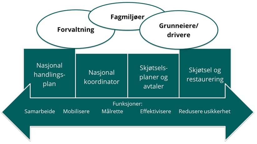 Illustrasjon av forvaltningsmodellen for nasjonal handlingsplan for åpen grunnlendt kalkmark, som bygger på arvesølvmodellen.