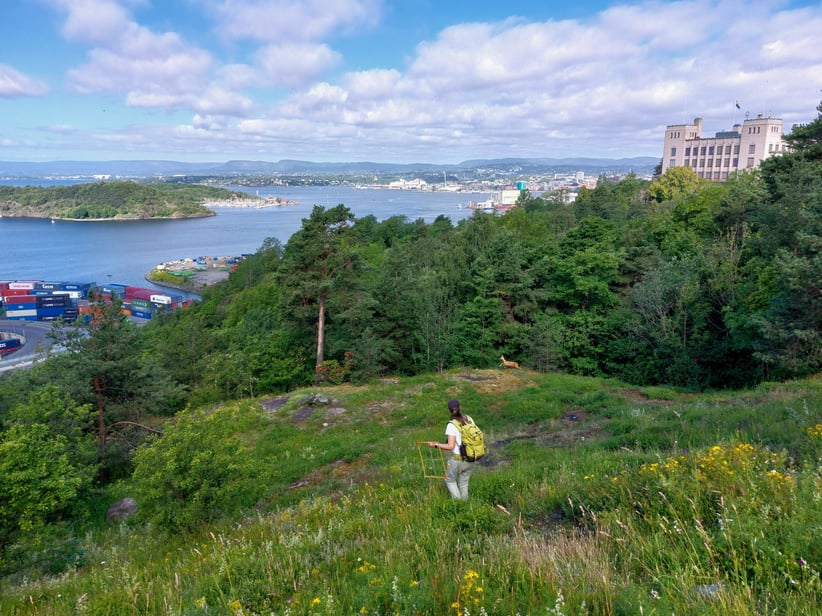 Person som beveger seg i et grøntområde som er grunnlent åpen kalkmark med utsikt til Oslofjorden.