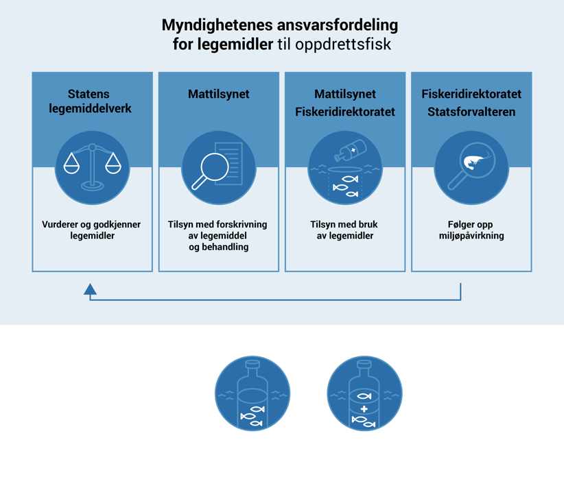 Figuren viser at Statens legemiddelverk vurderer og godkjenner legemidler, Mattilsynet driver tilsyn med forskrivning av legemiddel og behandling, Mattilsynet og Fiskeridirektoratet driver tilsyn med bruk av legemidler, Fiskeridirektoratet og Statsforvalteren følger opp miljøpåvirkning.