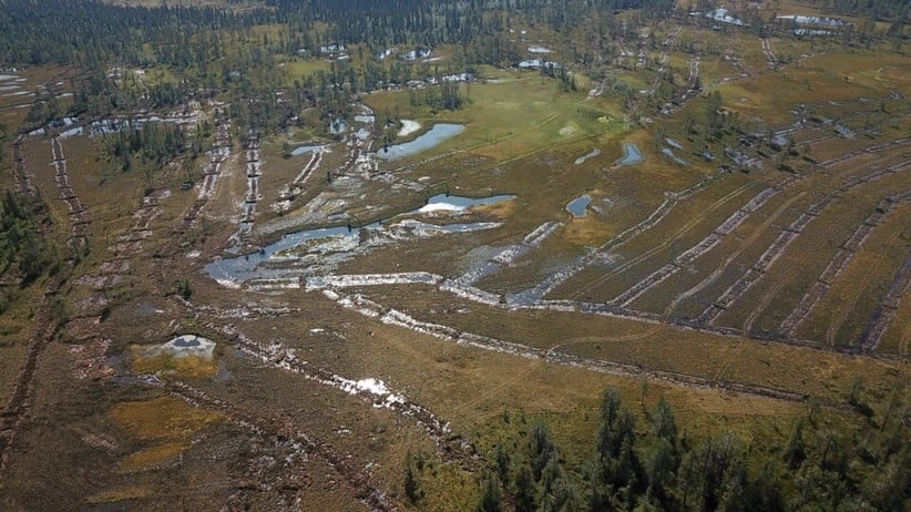 Restaurert myr i Regnåsen-Hisåsen naturreservat