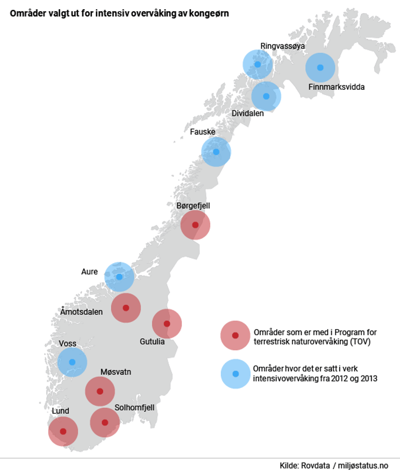 Norgeskart som viser områder valgt ut for intensiv overvåking av kongeørn i Program for terrestrisk naturovervåking, hvor ungeproduksjonen hos kongeørn har blitt overvåket i mange år, og områder hvor det i tillegg er satt i verk intensivovervåking fra 2012 og 2013.