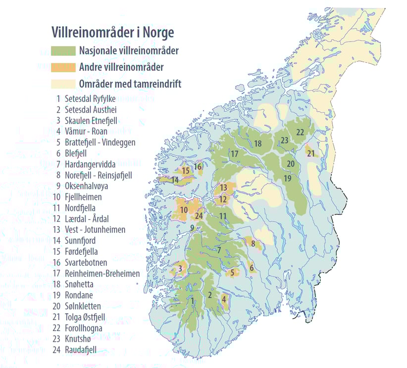 Kartet viser de 24 villreinområdene i Norge, og områder med tamreindrift.