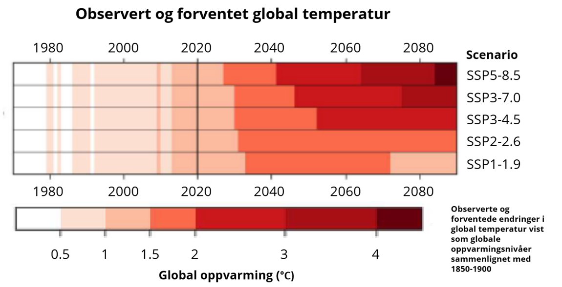 Observert og forventet global temperatur