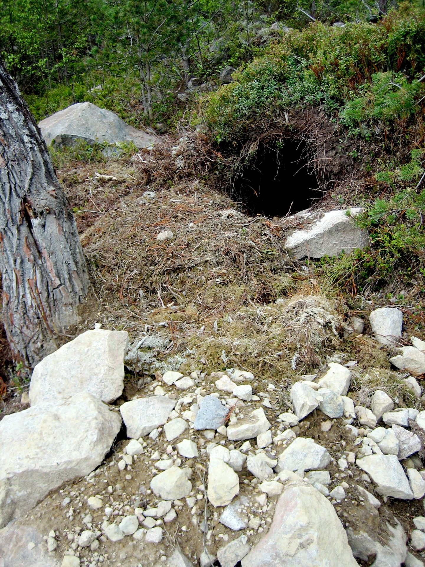 Rock, Bedrock