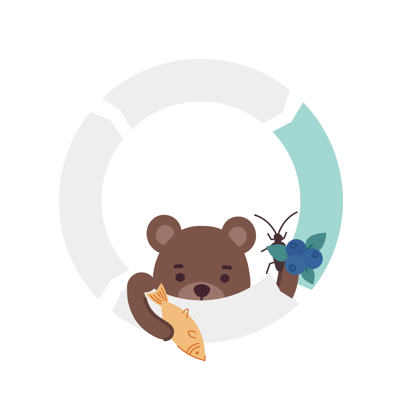 Cartoon bear holding a fish and blueberries with an insect, peeking from behind a circular arrow diagram.