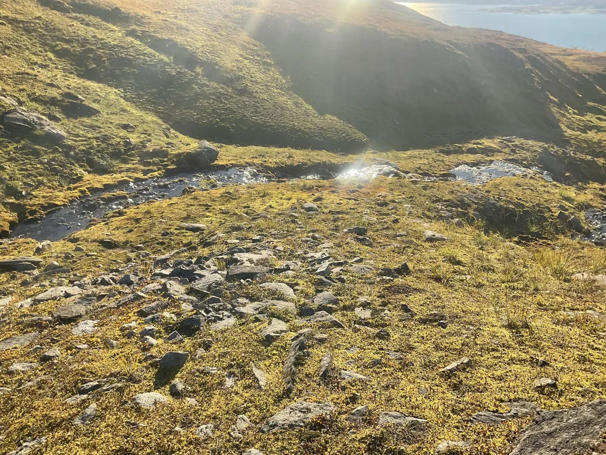 Kalkrikt snøleie - miljodirektoratet.no